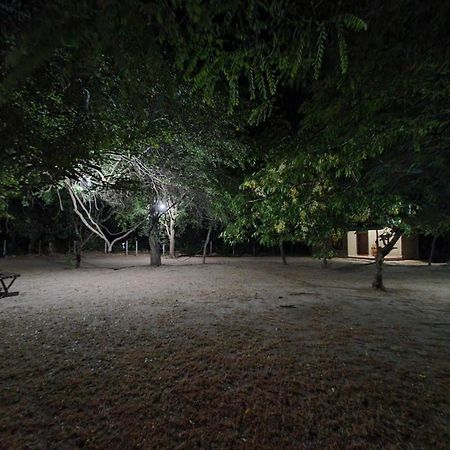 Clay Hut Village Polonnaruwa Eksteriør bilde