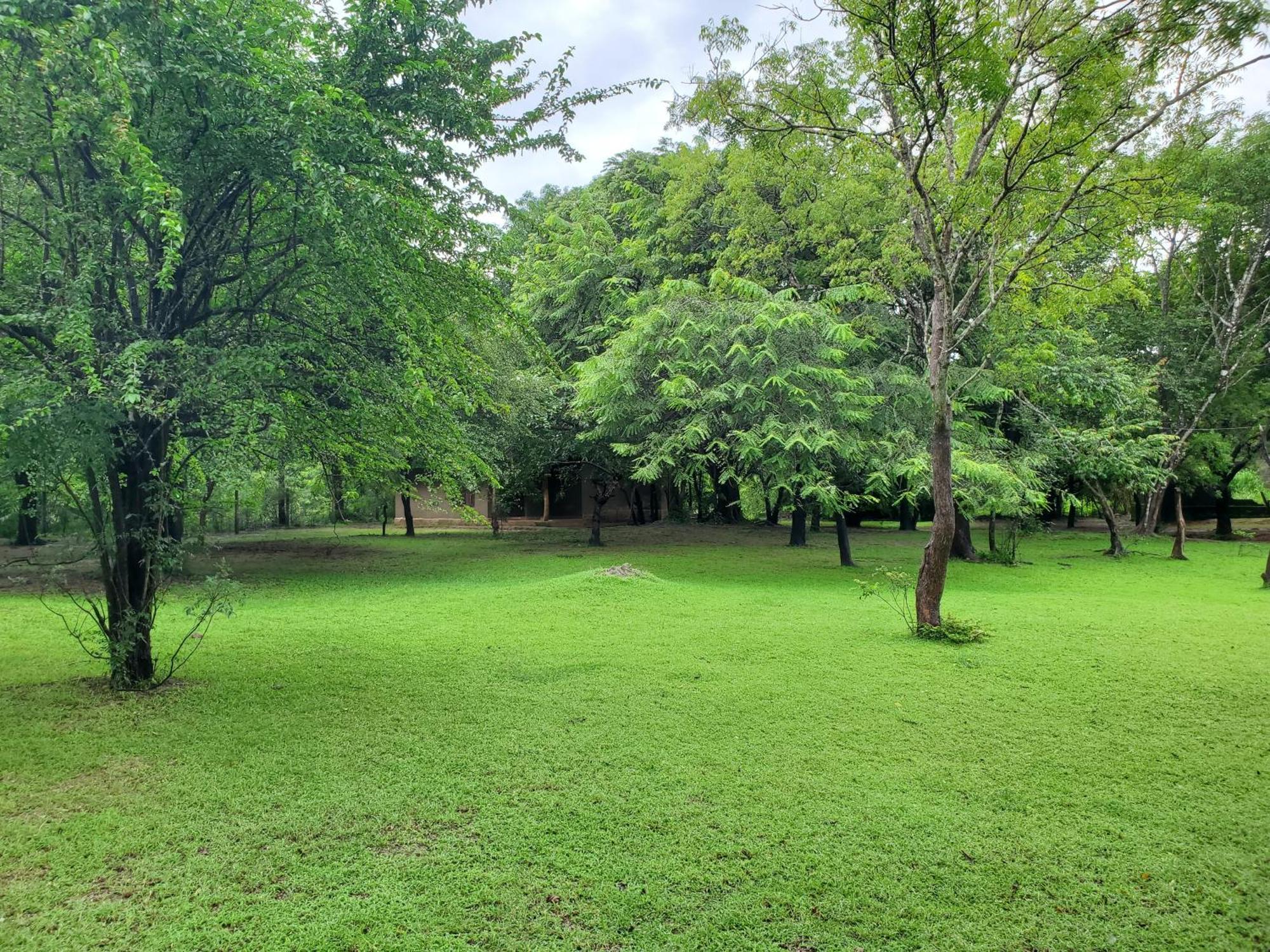 Clay Hut Village Polonnaruwa Eksteriør bilde