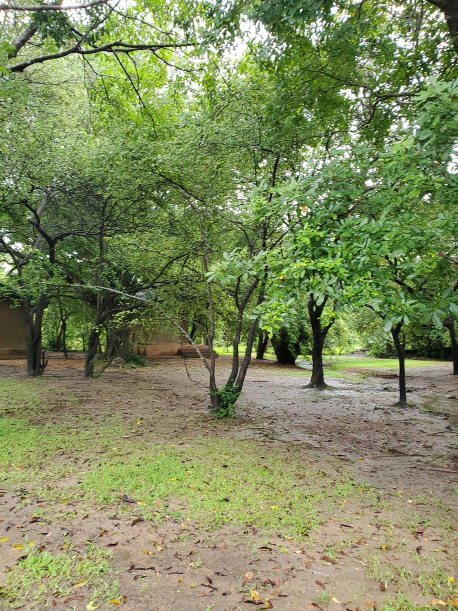Clay Hut Village Polonnaruwa Eksteriør bilde