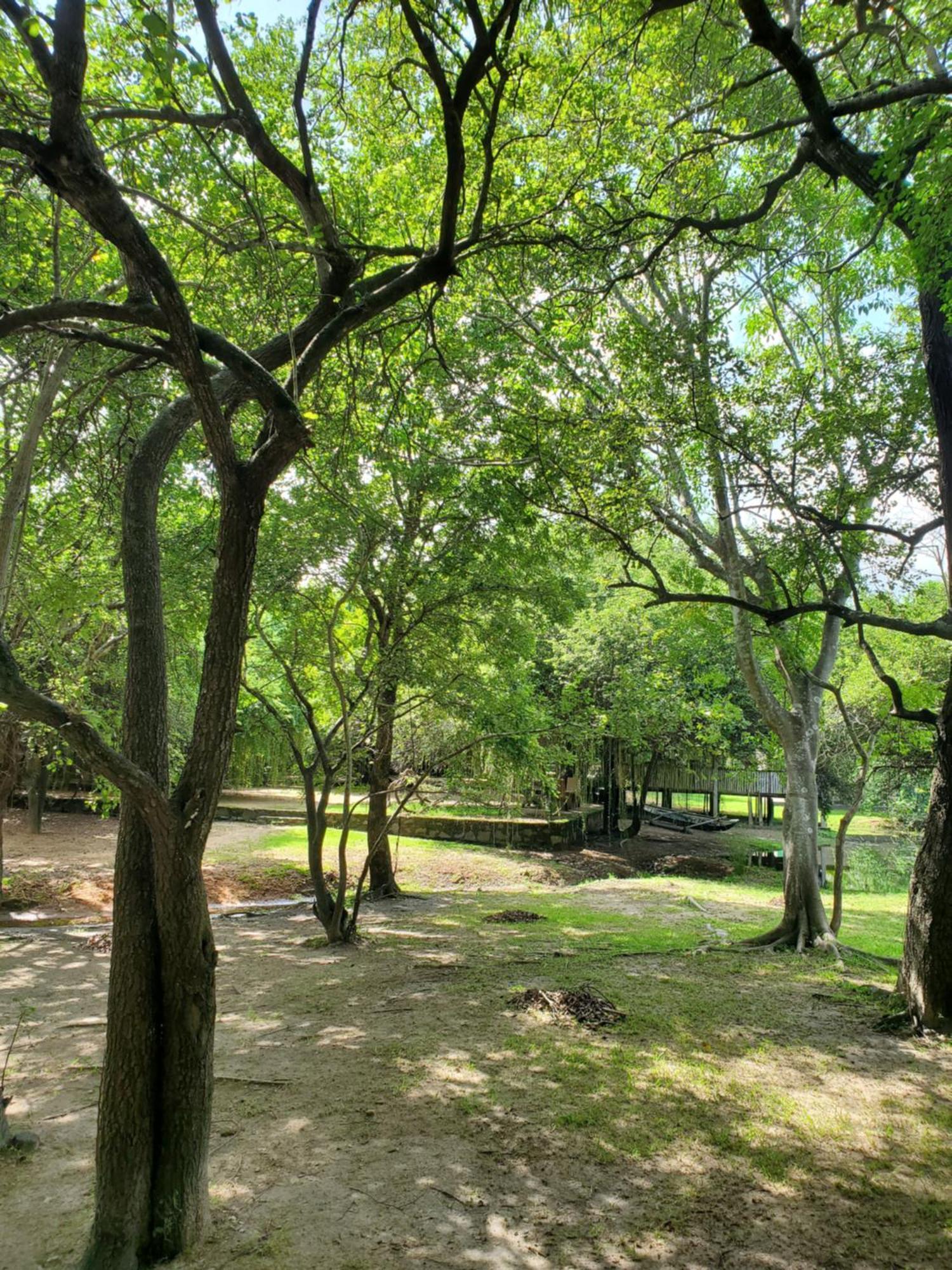 Clay Hut Village Polonnaruwa Eksteriør bilde