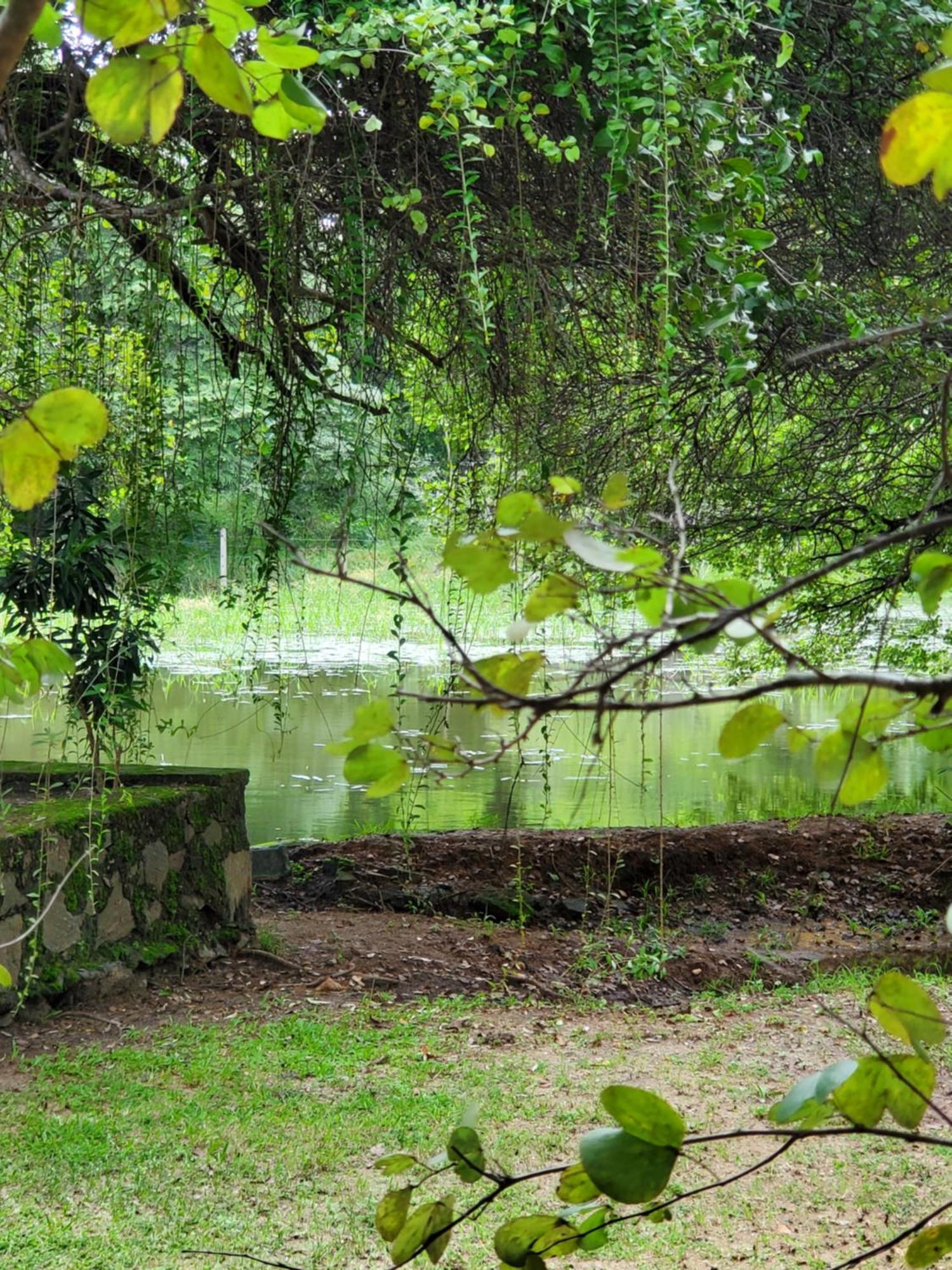 Clay Hut Village Polonnaruwa Eksteriør bilde