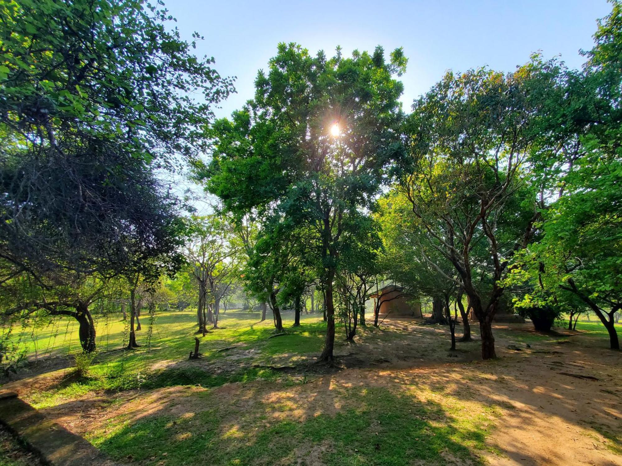 Clay Hut Village Polonnaruwa Eksteriør bilde