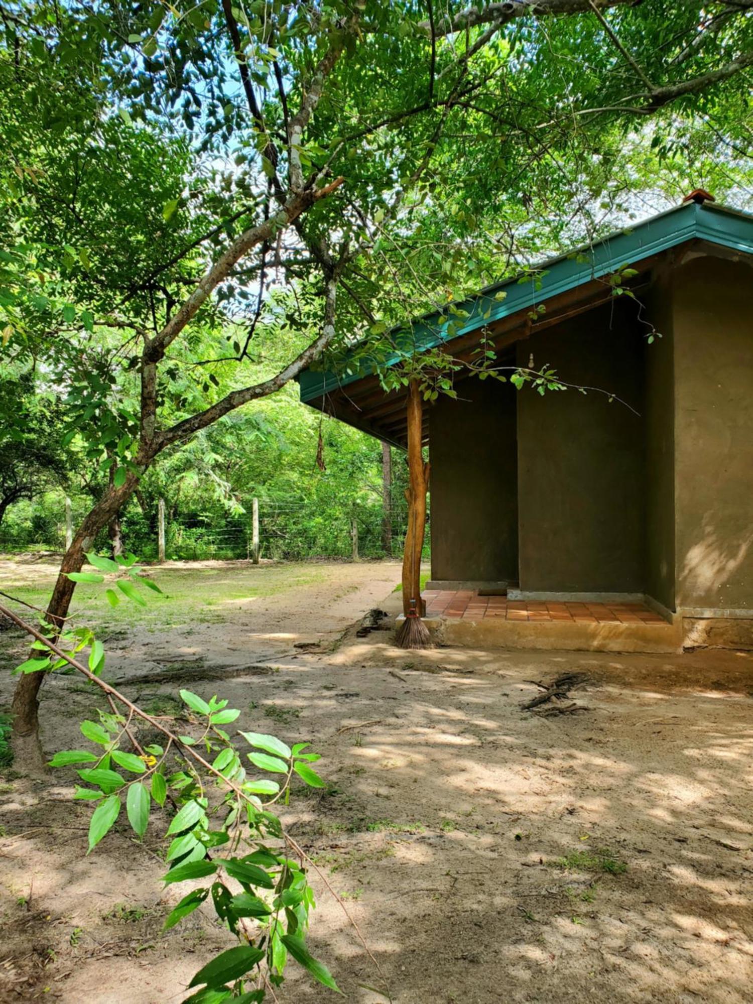 Clay Hut Village Polonnaruwa Eksteriør bilde