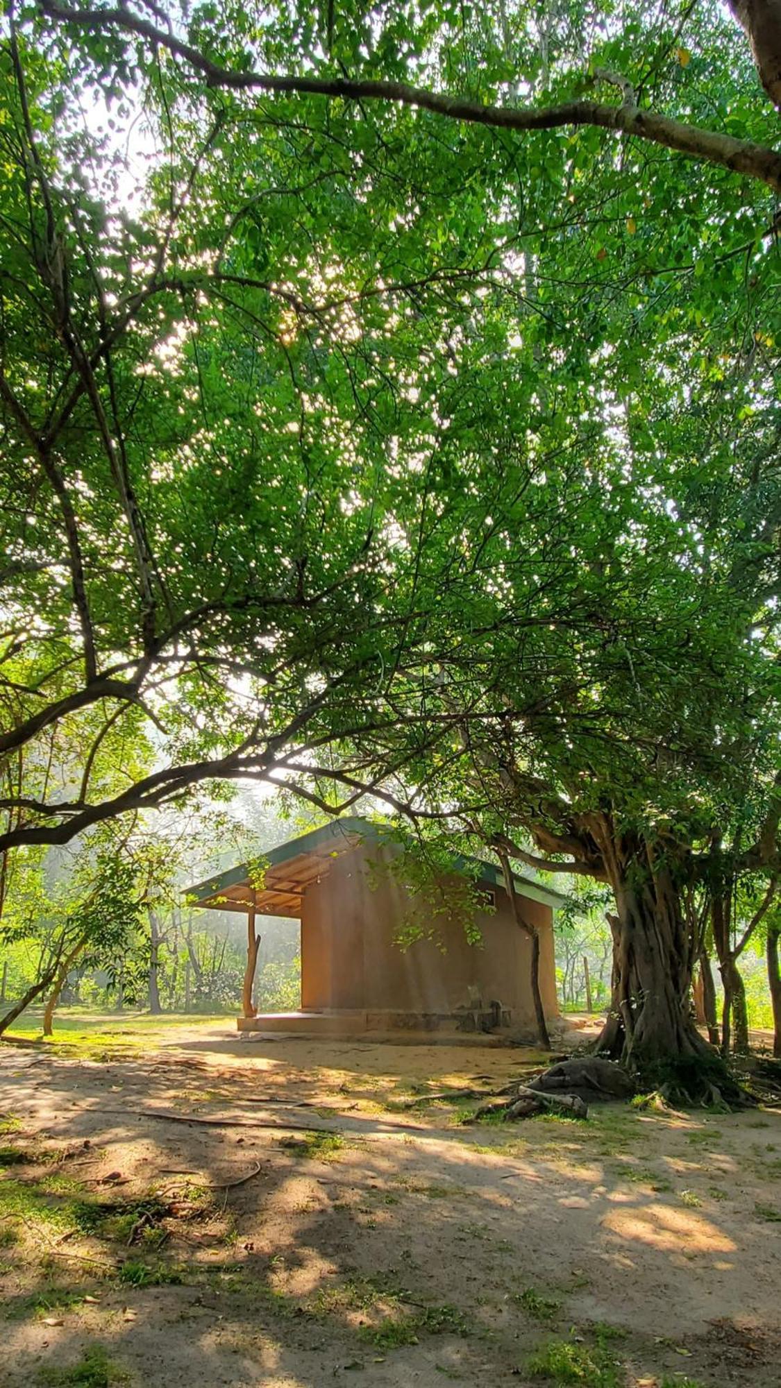 Clay Hut Village Polonnaruwa Eksteriør bilde